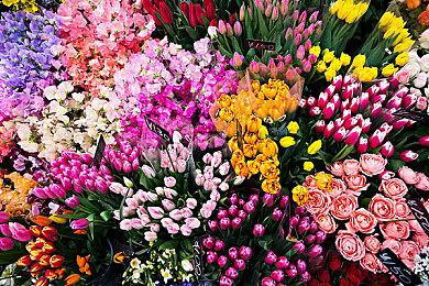 《木卫四协议》官方确认支持60帧 12月2日准时发售