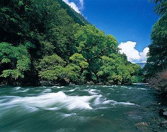 E3 2021：《喋血复仇》PvP实机预告  支持4人合作